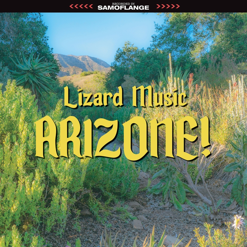 Lizard Music's Arizone!